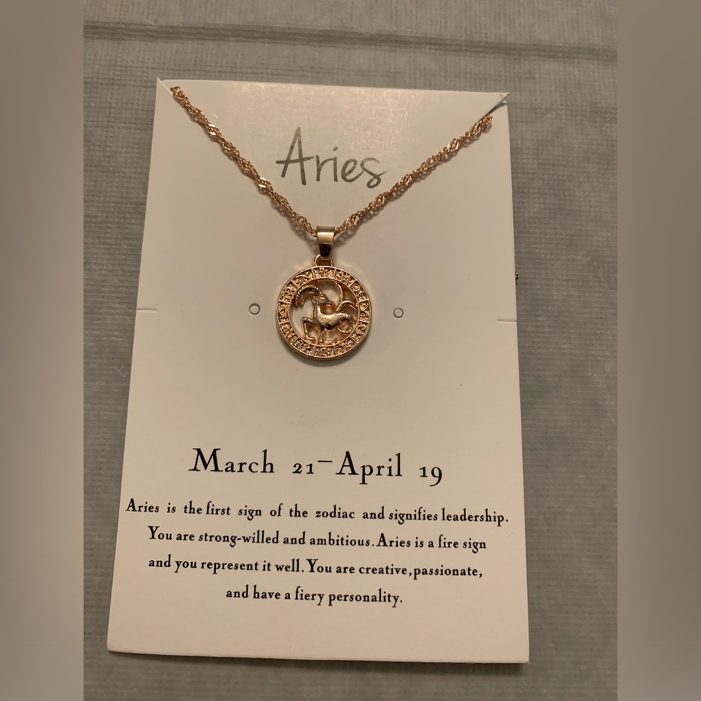 Aries Pendant on 19” Chain in Rose Gold Color